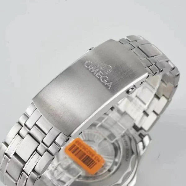 Omegaa Seamaster Aqua Terra Silver Blue