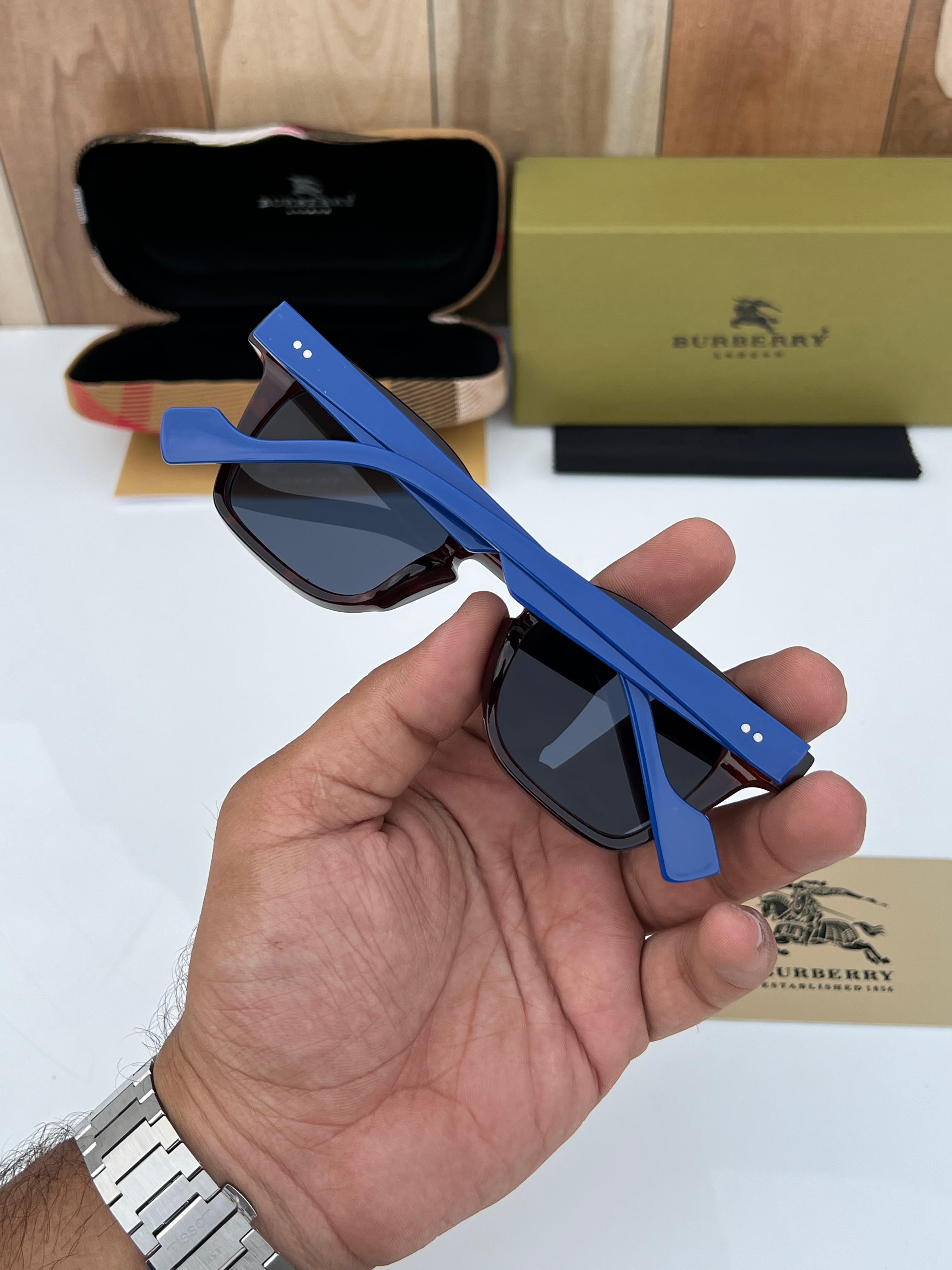 Bur 2001 BROWN BLUE A